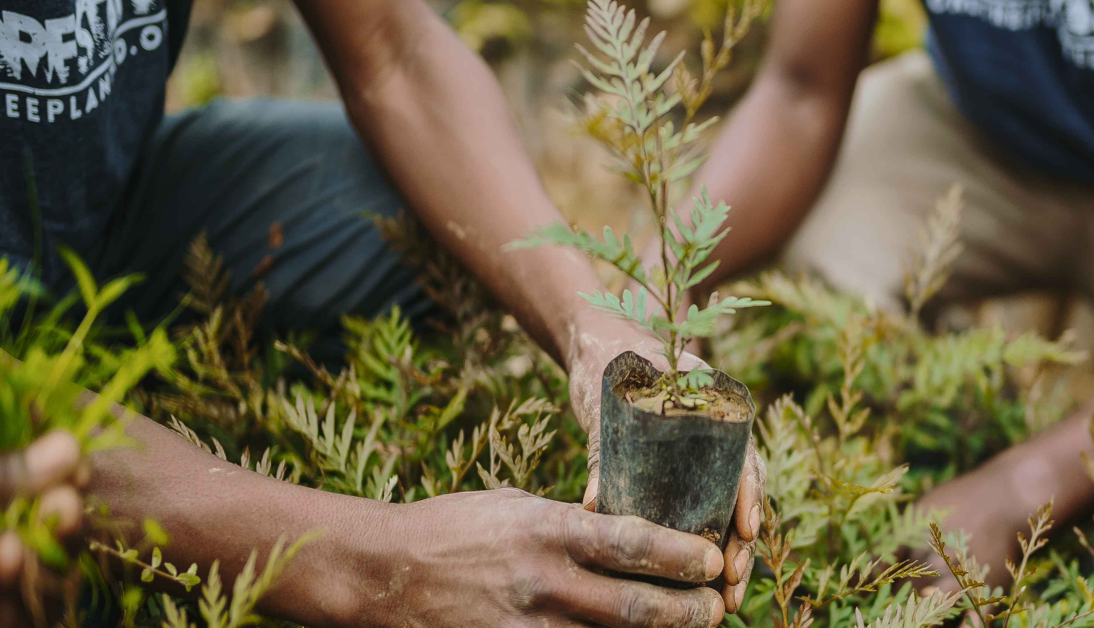 Welcome to Our Store