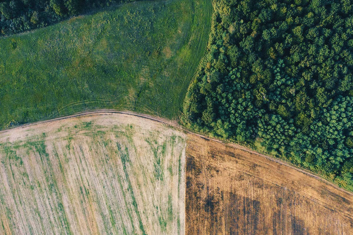 OrderlyEmails - Recommended Products